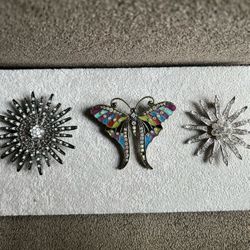 Brooches (decorative jewelry pieces)