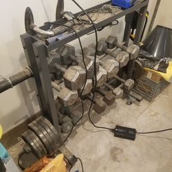 Weights, Dumbells, Bench 