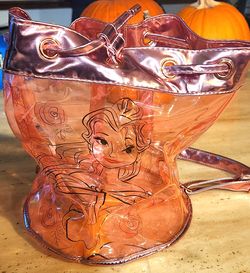 Princess clear pink bag