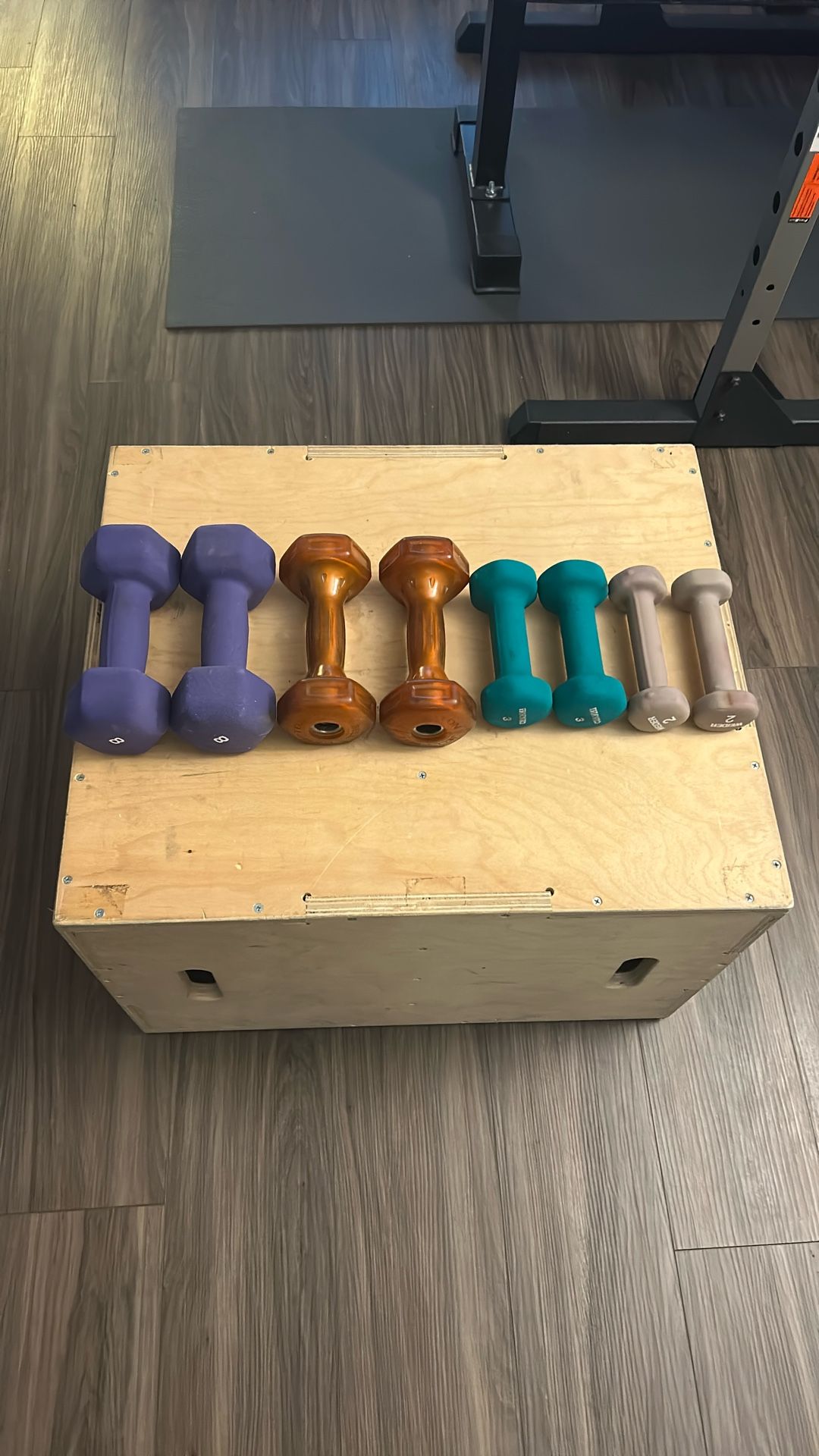 4 Sets Dumbbells 