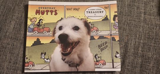 Comic Books / Cartoons