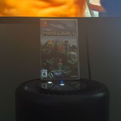 Minecraft for the Nintendo switch 