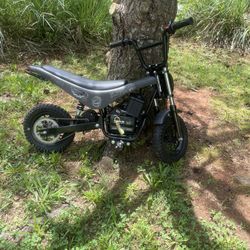  Burrow Max 250 E Bike  
