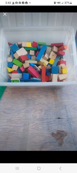 Large Lot of Wooden Building Blocks