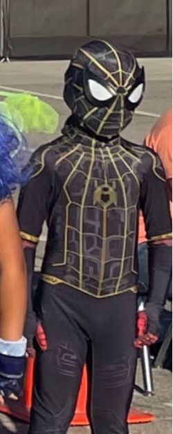 No way home costume