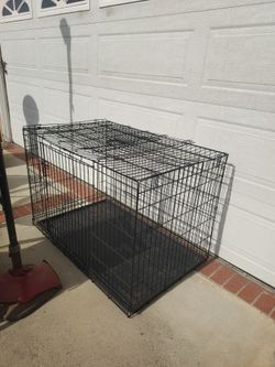Double Door Collapsible Wire Dog Crate, Black, 48-inch
