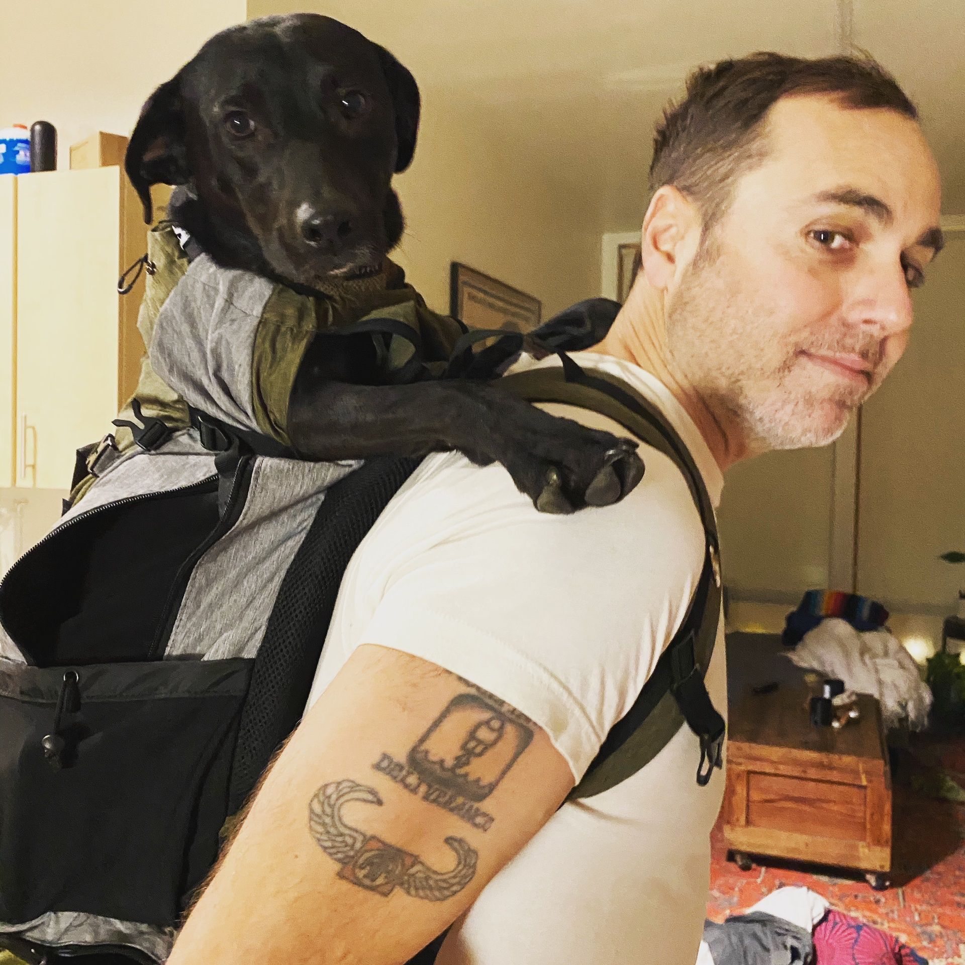 K9 Sport Sack Dog Carrier