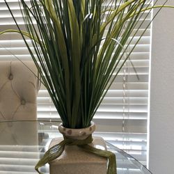 Cute Ceramic Vase with  plant