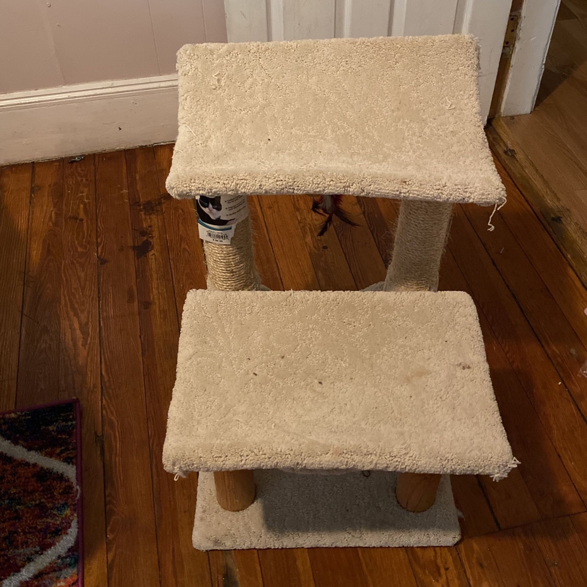 Cat Tree From Pet Smart