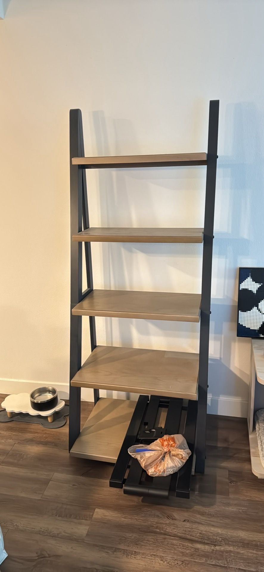 Latter book shelf