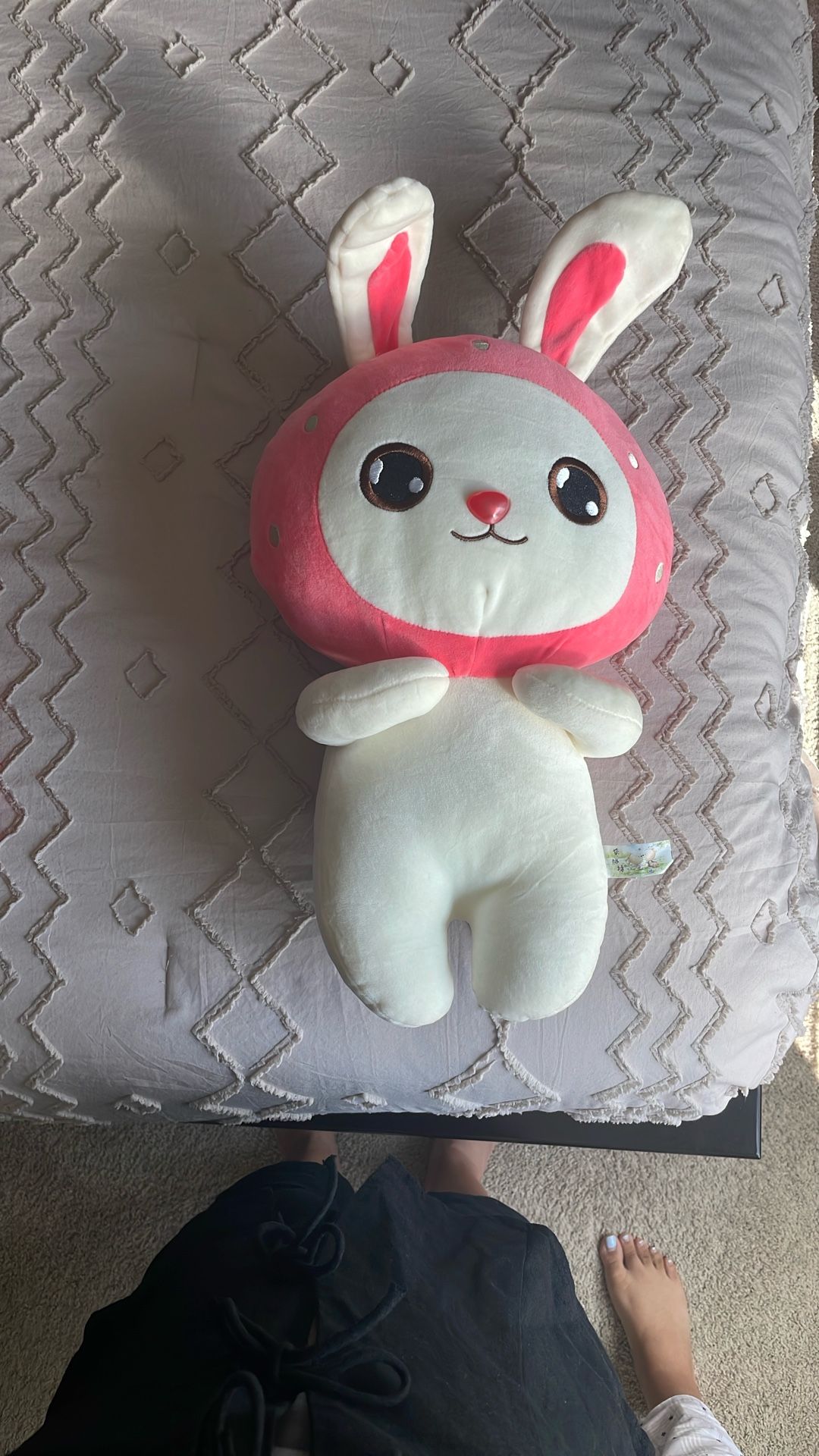 Cute Plushy