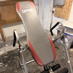 Inversion Table 