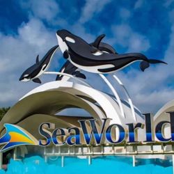 2 SeaWorld Tickets Available 