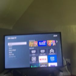 32 In Roku Tv