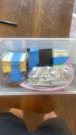 Massive 150+ Pokémon Card Lot - Hits, Japanese ex, Promos & Sorted Bulk