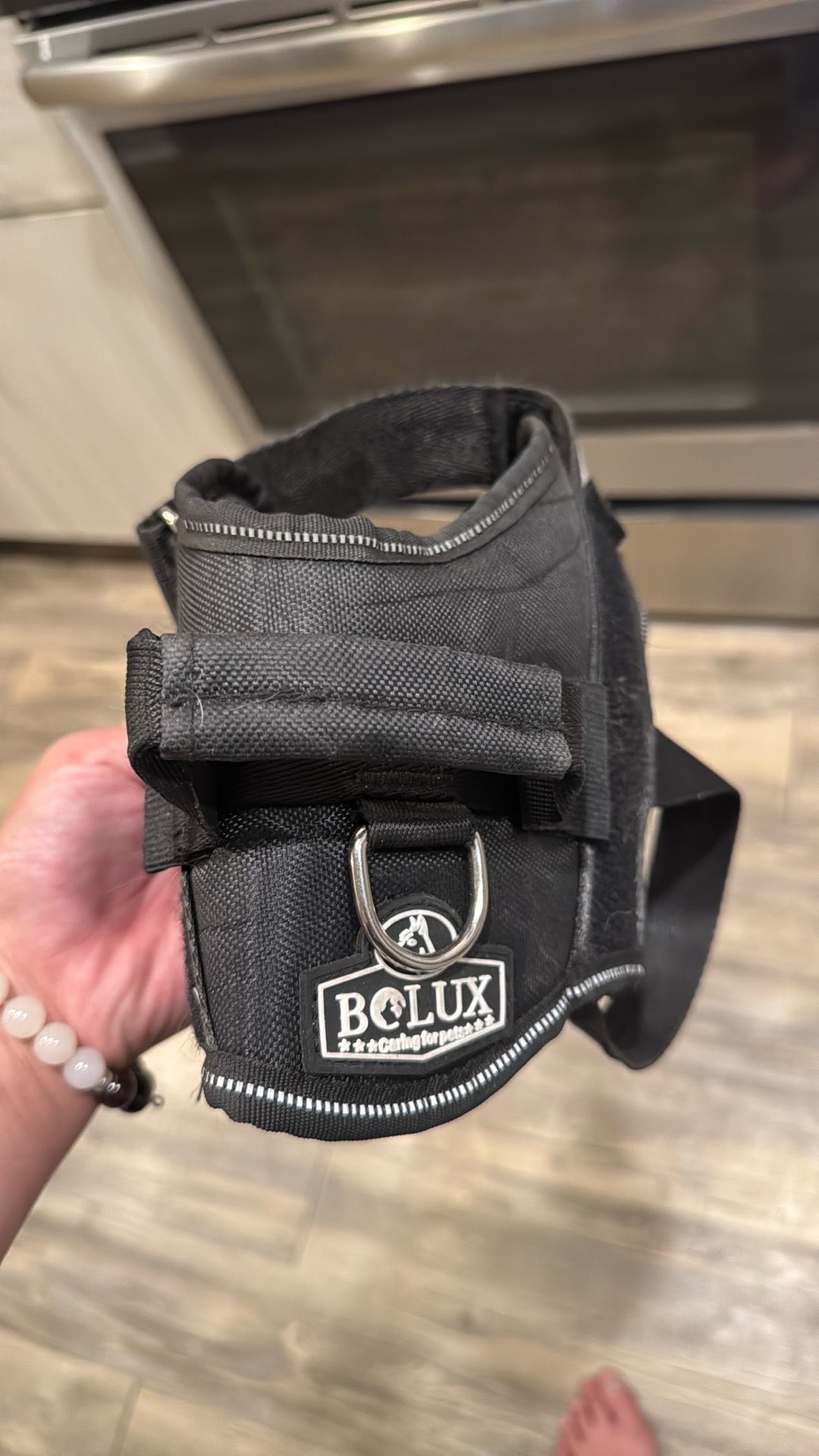 Small black dog harness