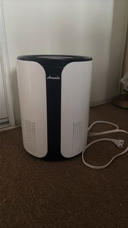 Avamia air purifier with filter