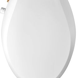 Toilet Seat Bidet
