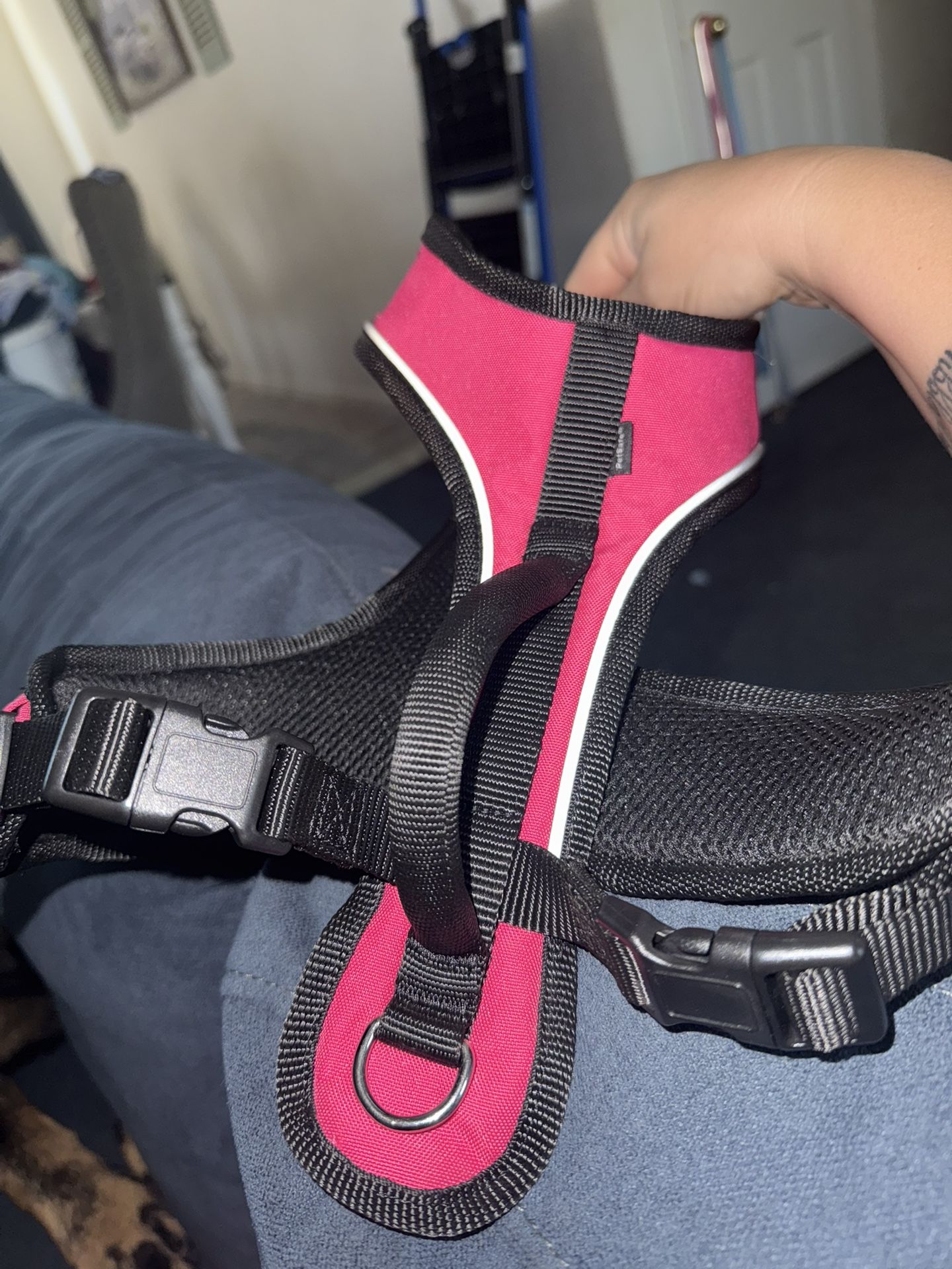 Brand New Small Harness.