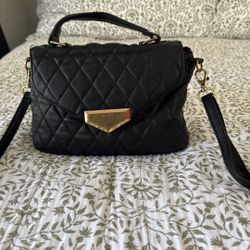 Aldo Crossbody 