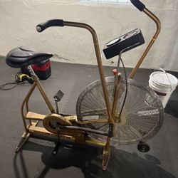 Schwinn Classic Airdyne, upright cardio bike