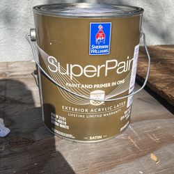 Exterior 1 Gal Satin Grey