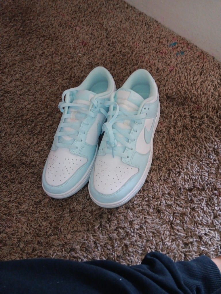 Nike Baby Blue Dunks