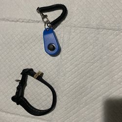 Dog Items 