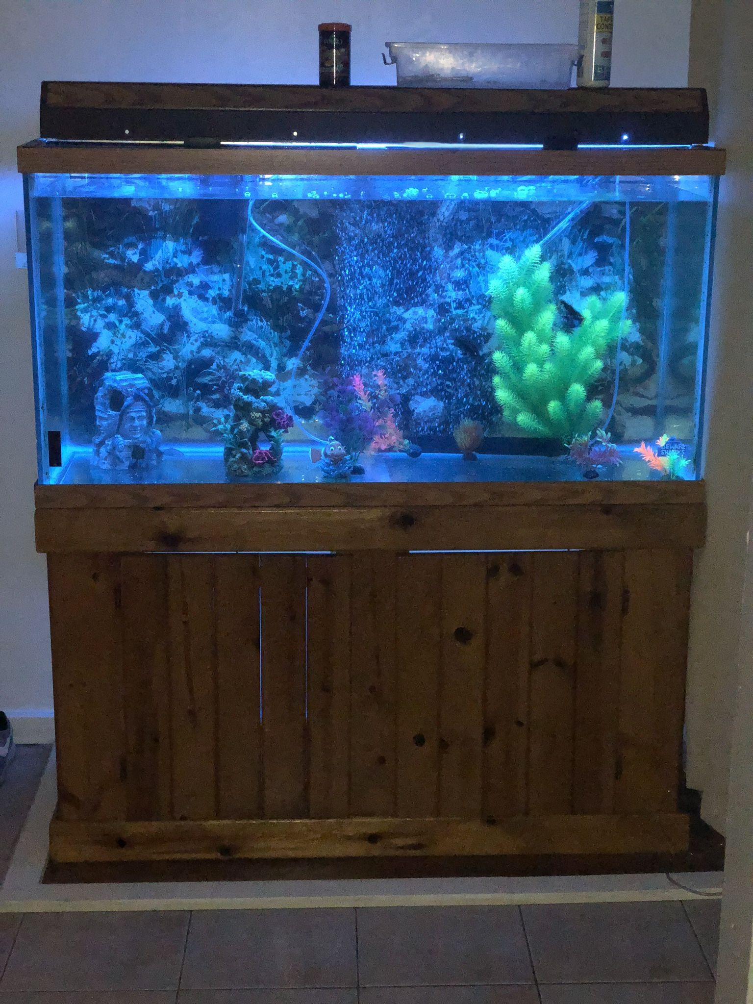 Fish Tank 90 gallon and Stand
