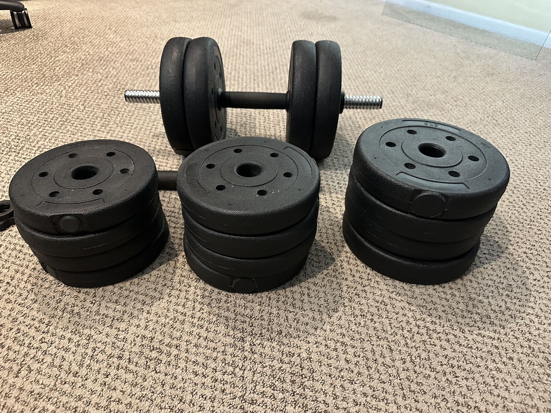 Adjustable Dumbbell 66 Pounds