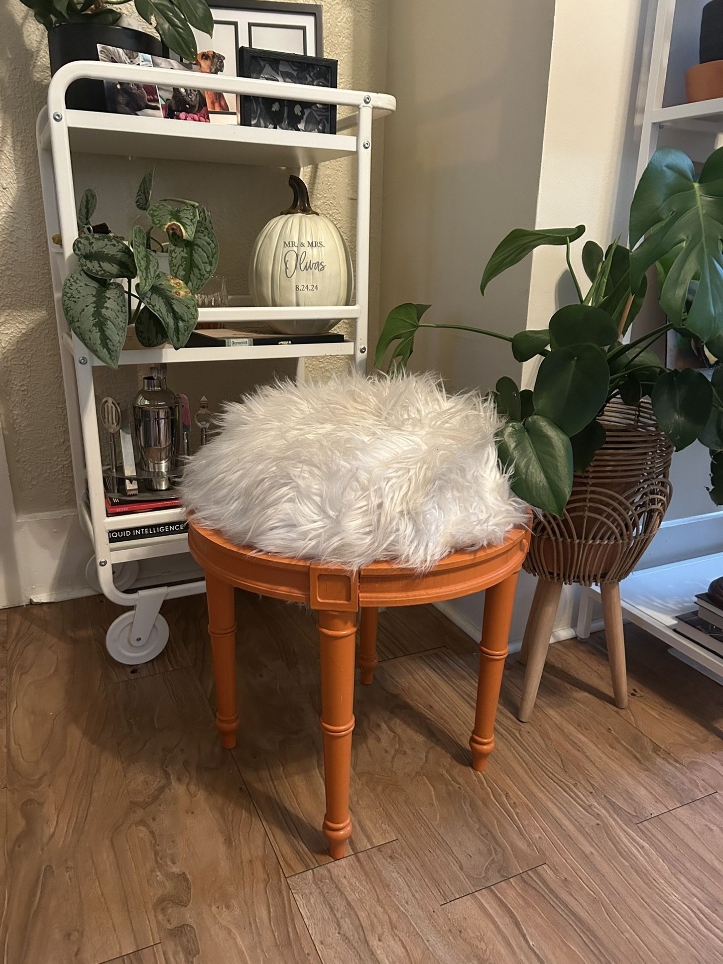 Fluffy Accent Stool