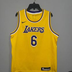 Los Angeles Lakers Large Youth Jersey Lebron James Nike