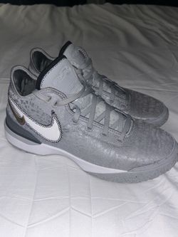 Lebron NXXT Gen