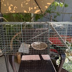 Live Trap Cage