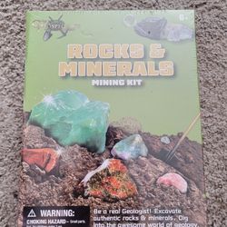 Rocks And Minerals Mining Kit