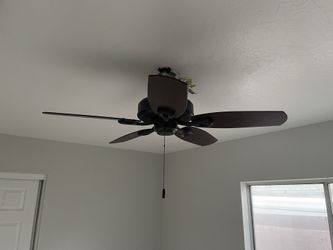 Ceiling Fan