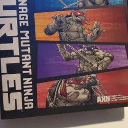 TMNT Teenage Mutant Ninja Turtle 5" AXN 4 Pack Action Figures Black And White