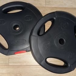 Standard Vinyl Weight Plates 2x20lbs (Total 40lbs)