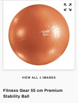 55 Cm Stability Exercise Ball With Hand Pump