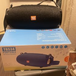 Portable wireless speaker