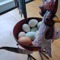 Fresh Chicken Eggs