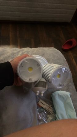 Security motion light