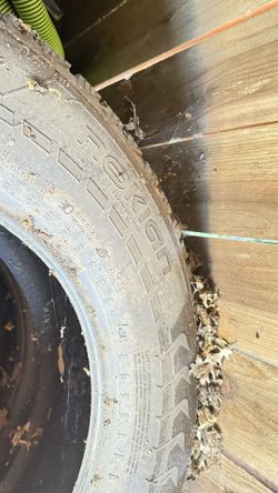 Nokian Snow Tires