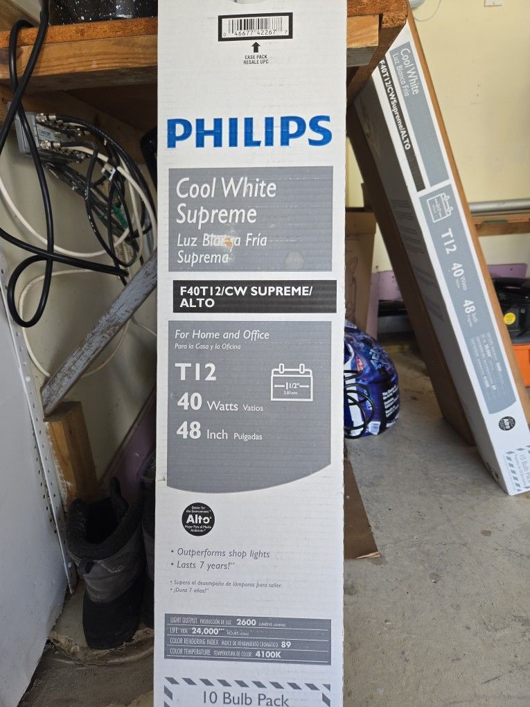Phillips 10 Bulb, 3,81 Cm Bulbs
