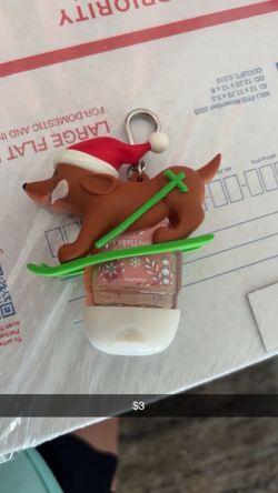 Hand sanitizer holder with sani