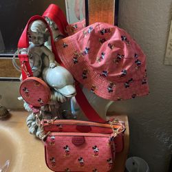 Designer Hat And Purse