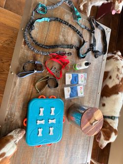 Dog stuff