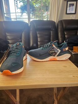 Nike Gore-Tex Storm-Tread Running Sneakers