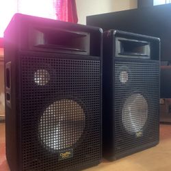 Digital Audio Monitor Speakers