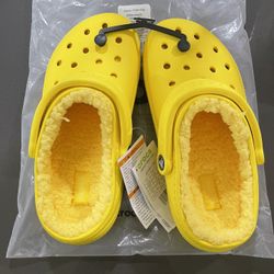 Crocs 🐊